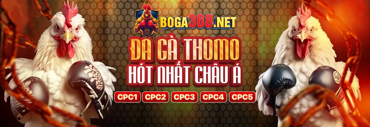 Giao diện dự đoán và phân tích đá gà trực tiếp sv88