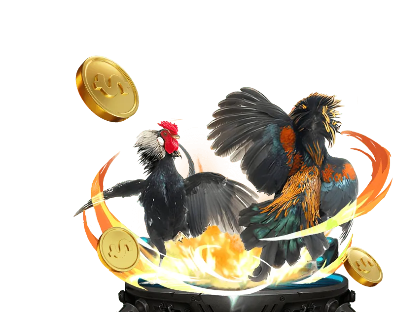 Biểu tượng bảo tồn văn hóa đá gà